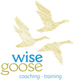 Wild Goose logo